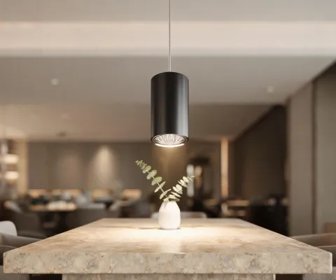 Architectural pendant luminaire